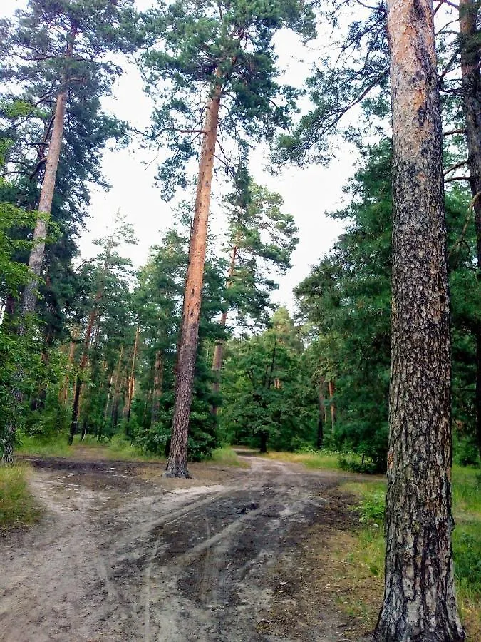 Apartment Guest House Kiev Forest Ukraine